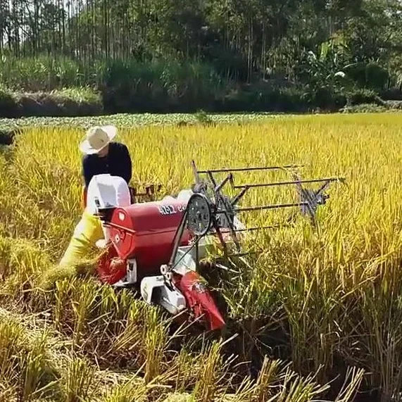 Nouvelle Machine automatique d - Combine Harvester Mini avis et prix